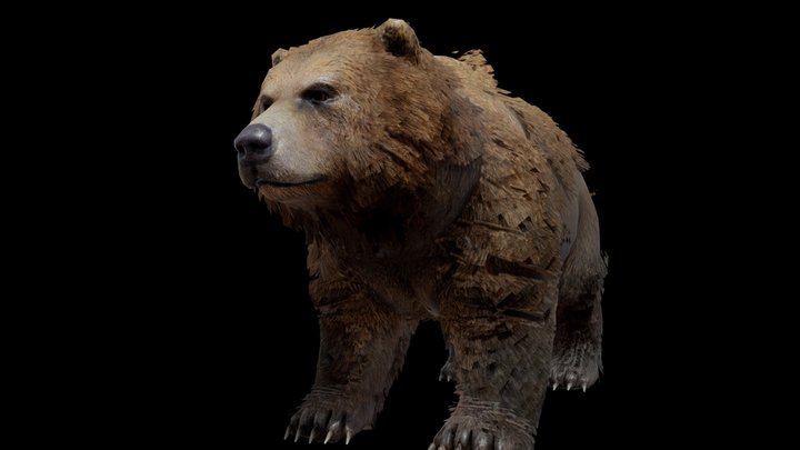 cheezeburger / grizzly bear 3D Model