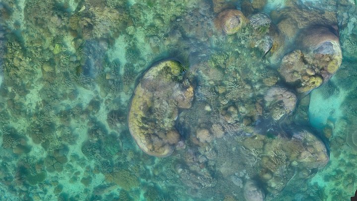 demo_bangka 3D Model