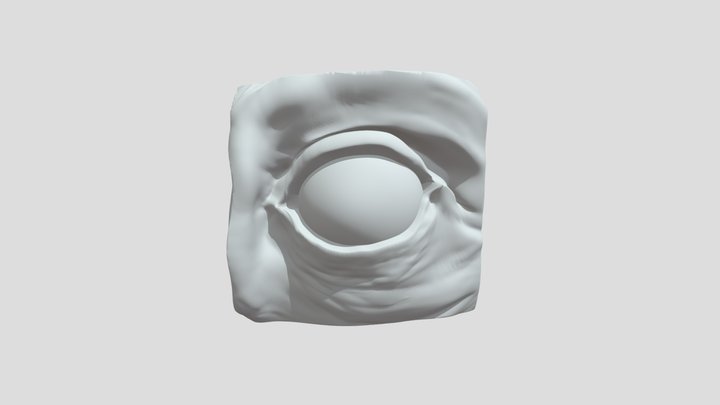 final_eye_3_oldman 3D Model