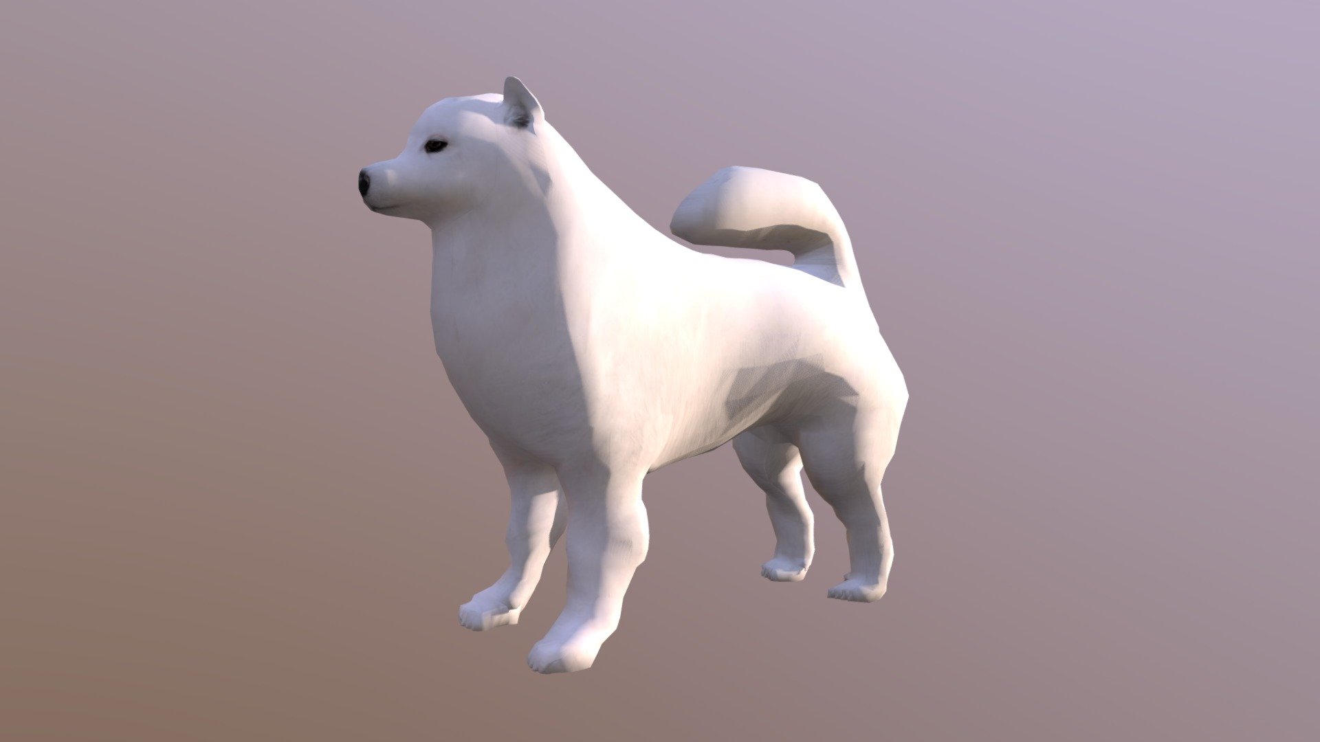 Samoyed White - Buy Royalty Free 3d Model By 3dlowpoly [979e497 