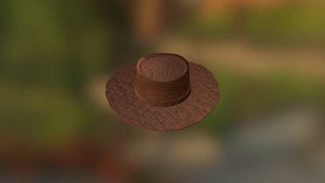 Western Hat 3D Model