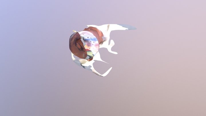 Cerámica 3D Model