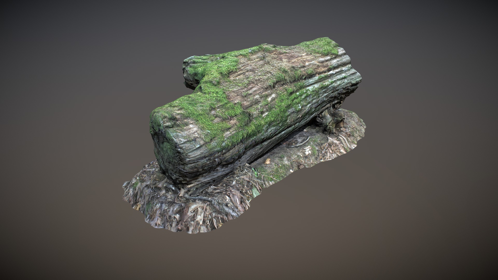 3D model Nature Forest Stuff 001 - This is a 3D model of the Nature Forest Stuff 001. The 3D model is about a green and white reptile.