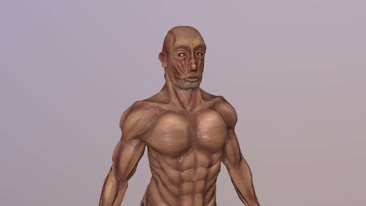 Modelo anatómico 3D Model