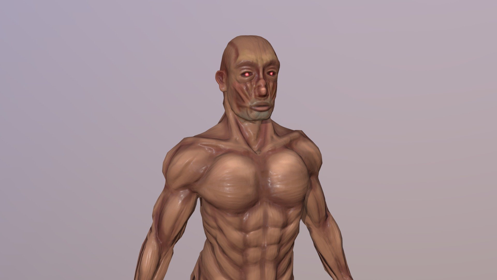 Modelo anatómico