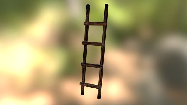 Western Ladder 3D Model