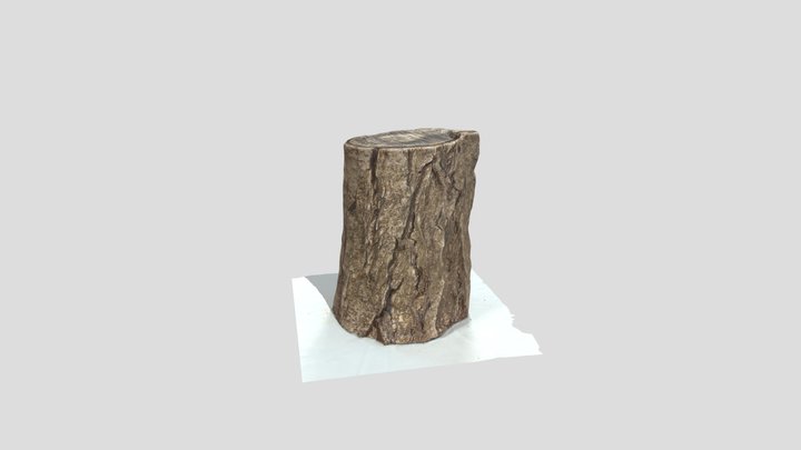 Photogrammetry_TreeStump_Asset