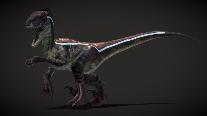 Velociraptor 3D Model