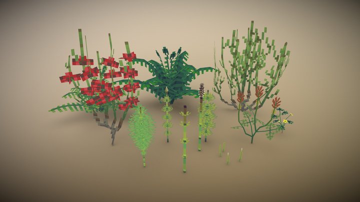 Ground Plants 3D Model