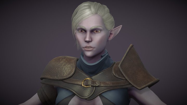 Female Dark Elf Rogue (WIP) 3D Model