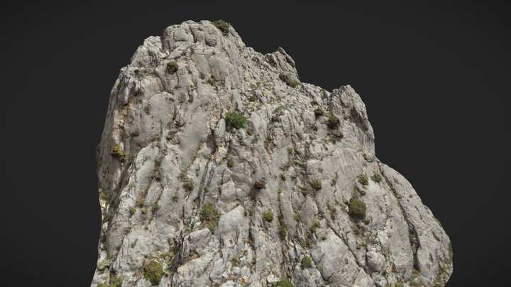 Mountain Cliff Slope PBR Scan 3D Model