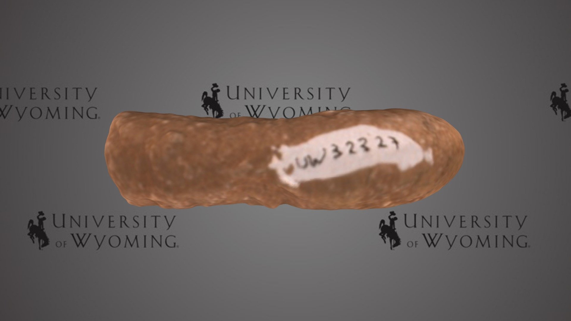 UW 32327 A - Coprolite