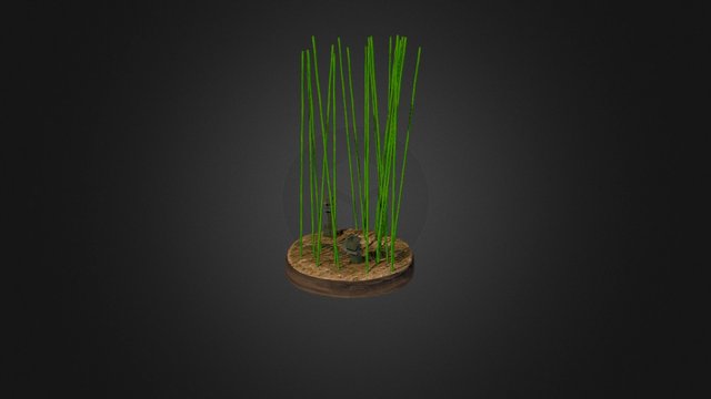 Bamboo Diorama 3D Model