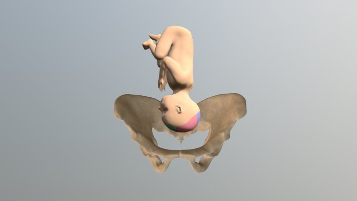 1. Engagement 3D Model