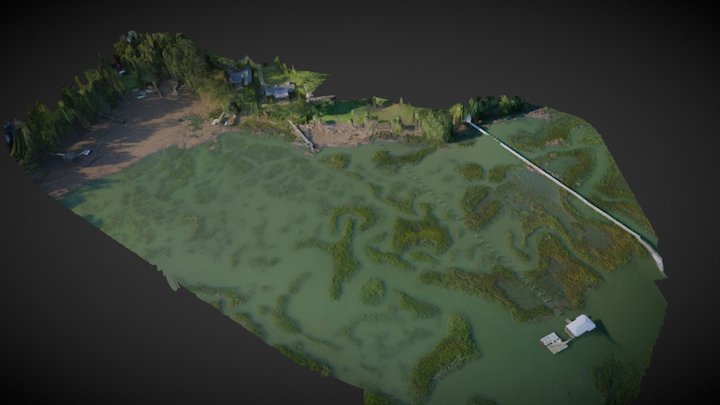 Dock 3D Model