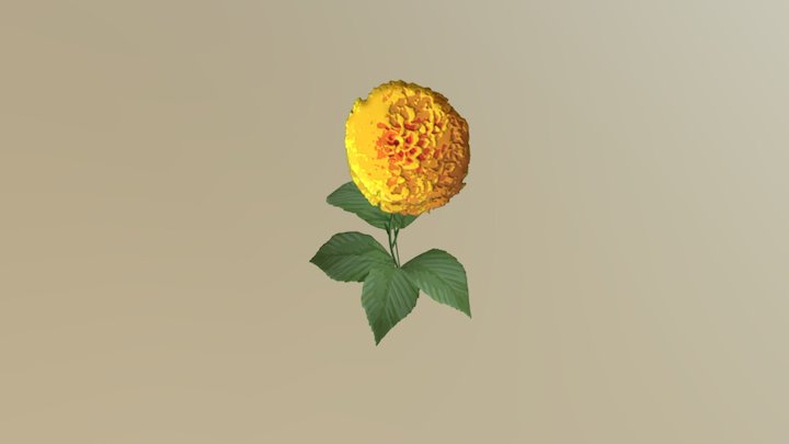 Yellow Flower 3D Model