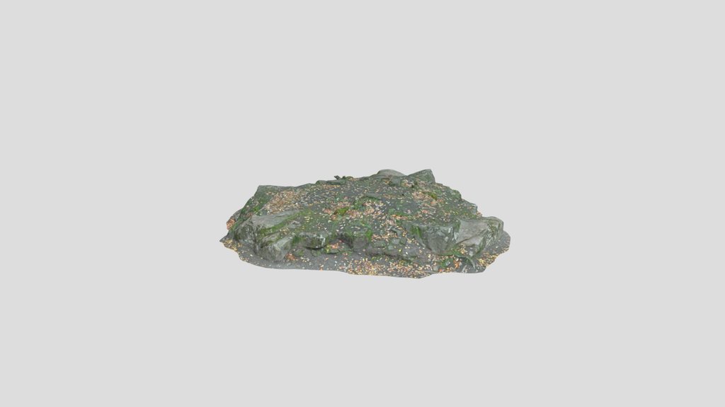 Rock Forest Ground