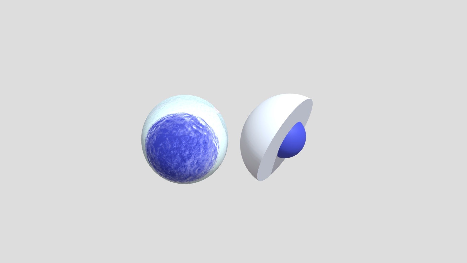 Sel Telur 3d