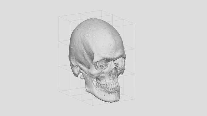 skull_and_points 3D Model