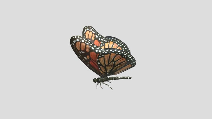 Butterfly - Wael Tsar 3D Model
