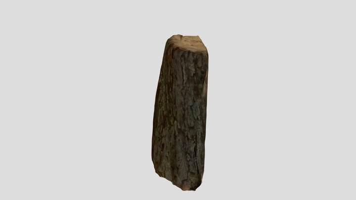 New Qlone 3D Model