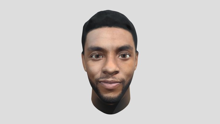 The Black Panther Chadwick Boseman 3D Model