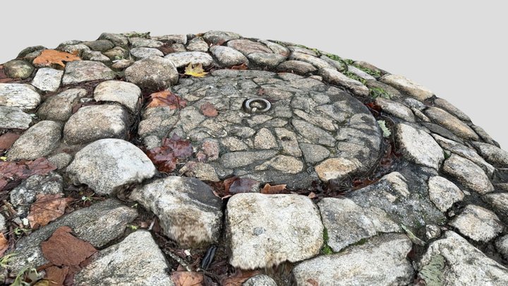 Medieval_manhole_2 [Low Res, Lidar Scan] 3D Model