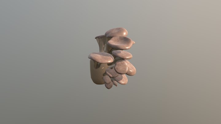 Oyster Mushrooms 3D Model