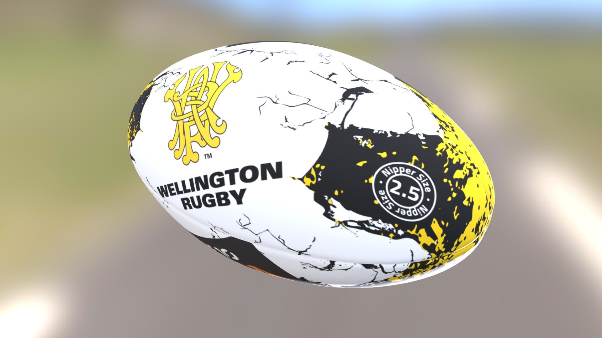 Rugby Ball Multi-cam