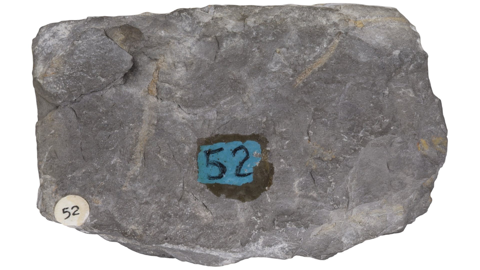 Sample # 62