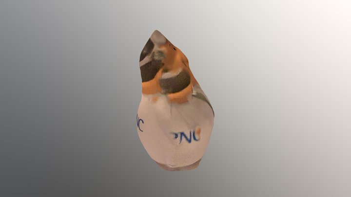 New Qlone 3D Model