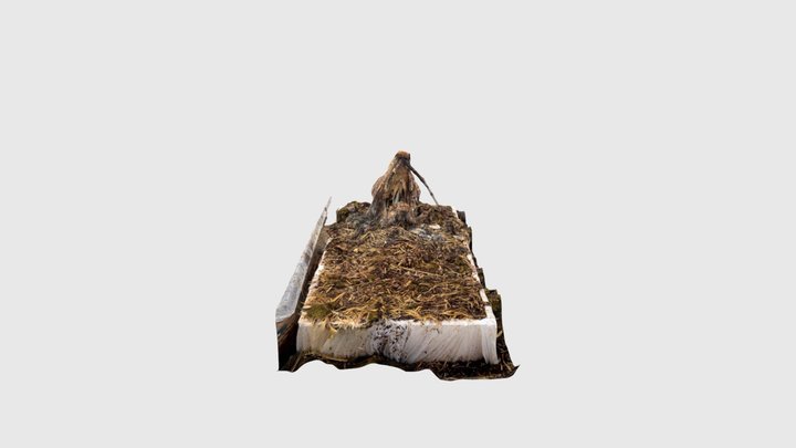goat head 16.10 3D Model