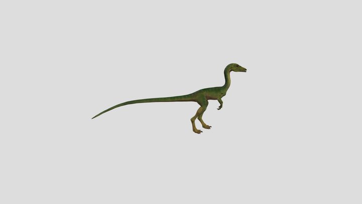 Compi | Dinosaur 3D Model