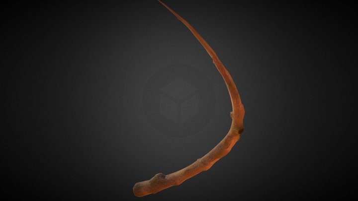 Branch 3D Model