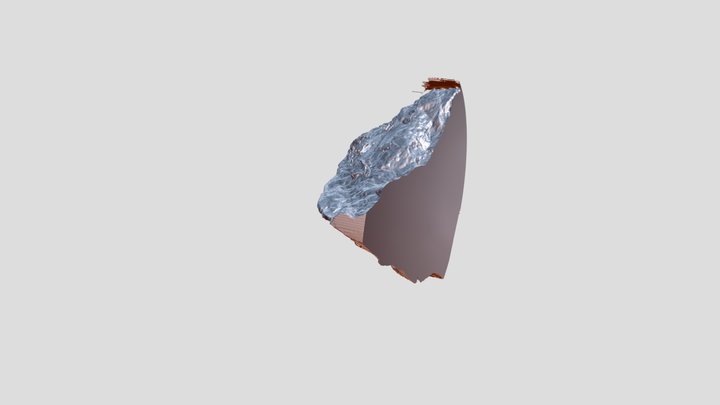 An XCT surface for a partial fossile 3D Model