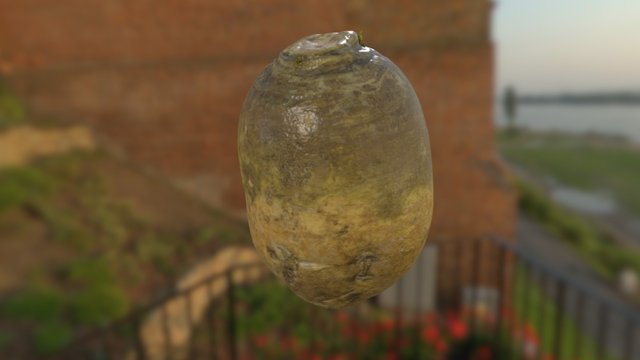 I have no clue 3D Model