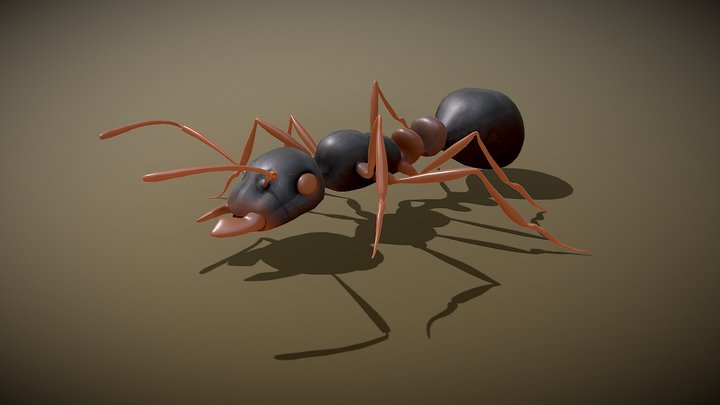 Ant Walking 3D Model