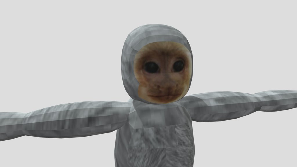 Capuchin - A 3D model collection by jeanettedawson803 - Sketchfab