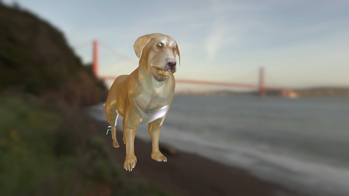 Florentinords 3D models - Sketchfab