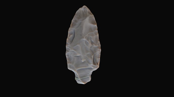 Georgetown Flint Stemmed Point - Refined Mesh 3D Model