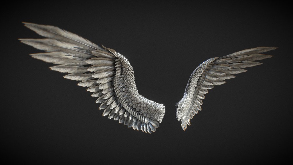 wings 3d tutorial pdf