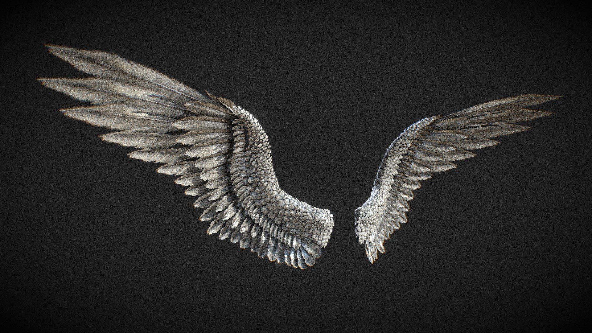 angel wings 3d model free download