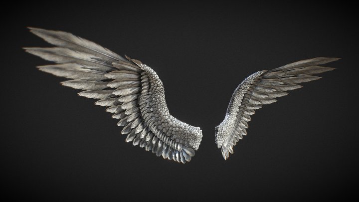 The Light of the Darkness - Angels Wings 3D Model