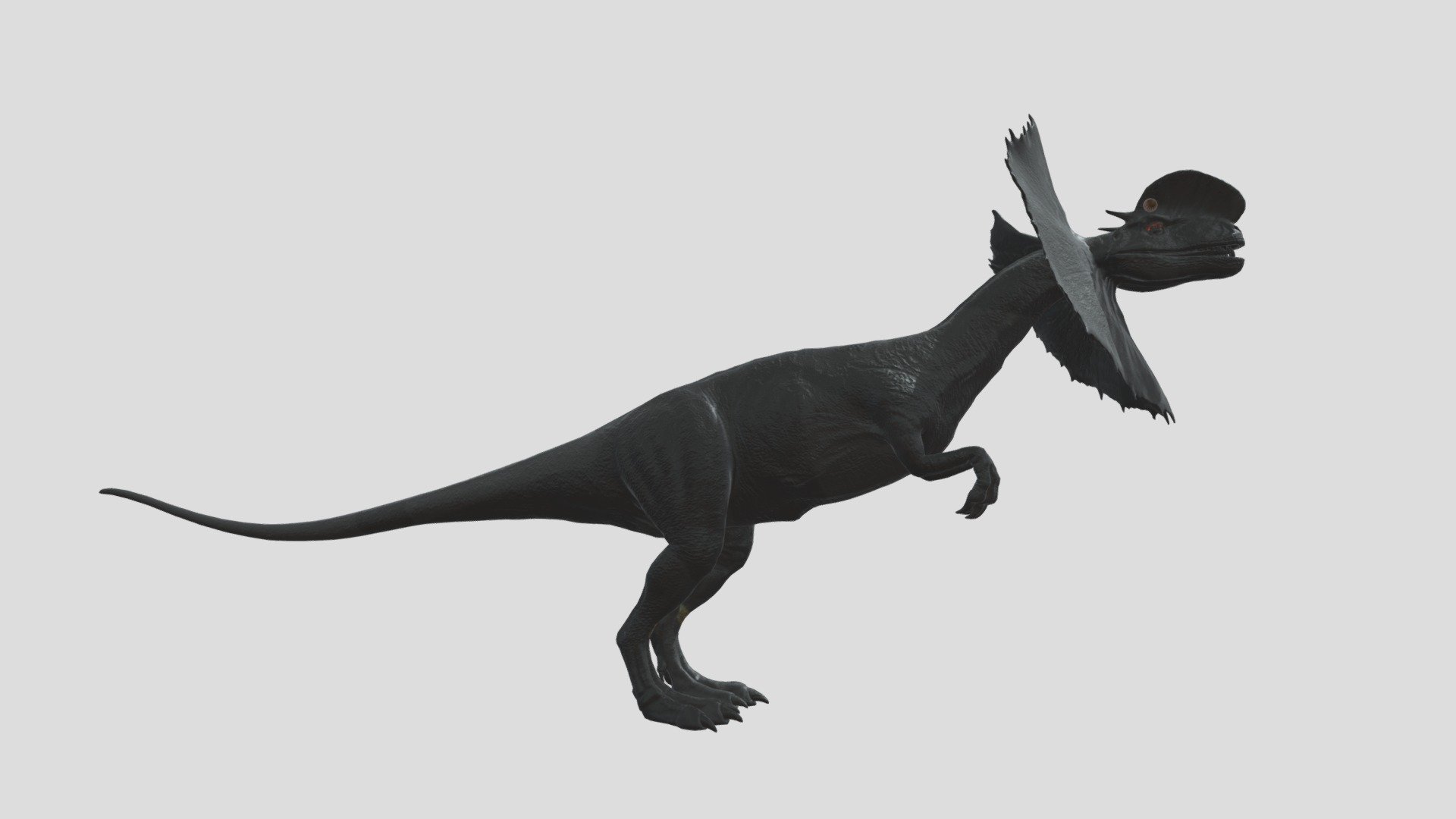 Dilophosaurus But More Accurate - Download Free 3D model by ...