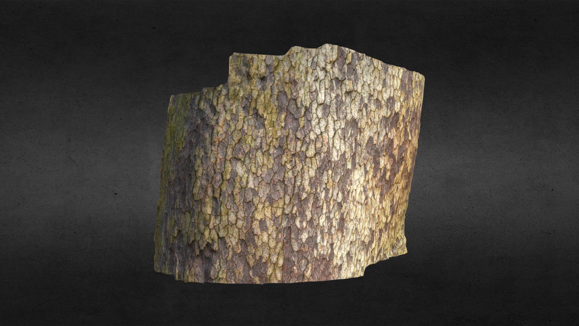 Oldtreebark