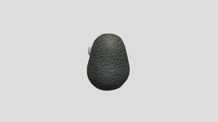 Hass the Avocado 3D Model