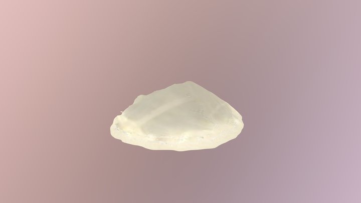 New Qlone 3D Model