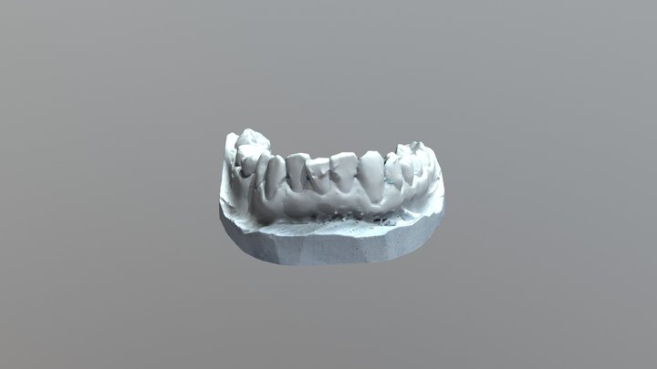 Mandible_New 3D Model