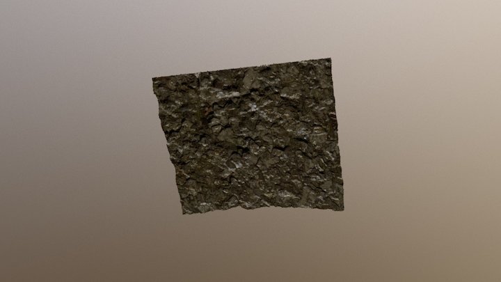 Fgg 3D Model