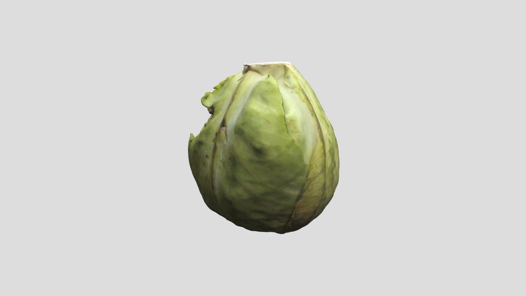Cabbage Scan